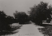 Georg Fritz, No. 224 Road in Chalan Kanoa Saipan